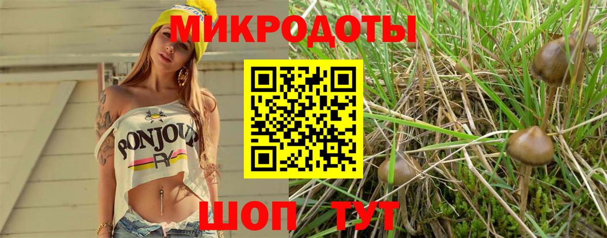 Псилоцибиновые грибы Cubensis  цена наркотик  Горячий Ключ  Вход с VPN  Галлюциногенные грибы мицелий 
